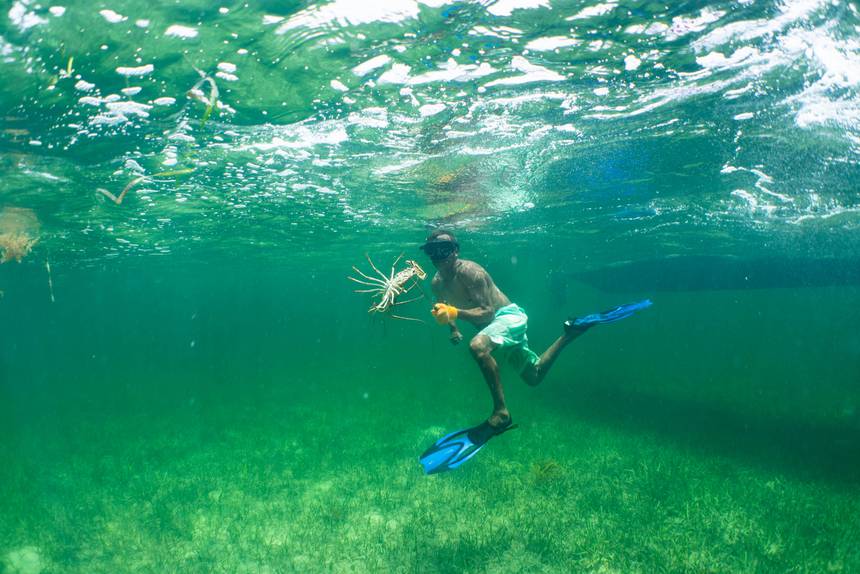 Lobster divers in Belize. What they catch will then be logged and recorded using tech from one of the startups that participated in The Nature Conservancy and Techstars' Sustainability Accelerator. 