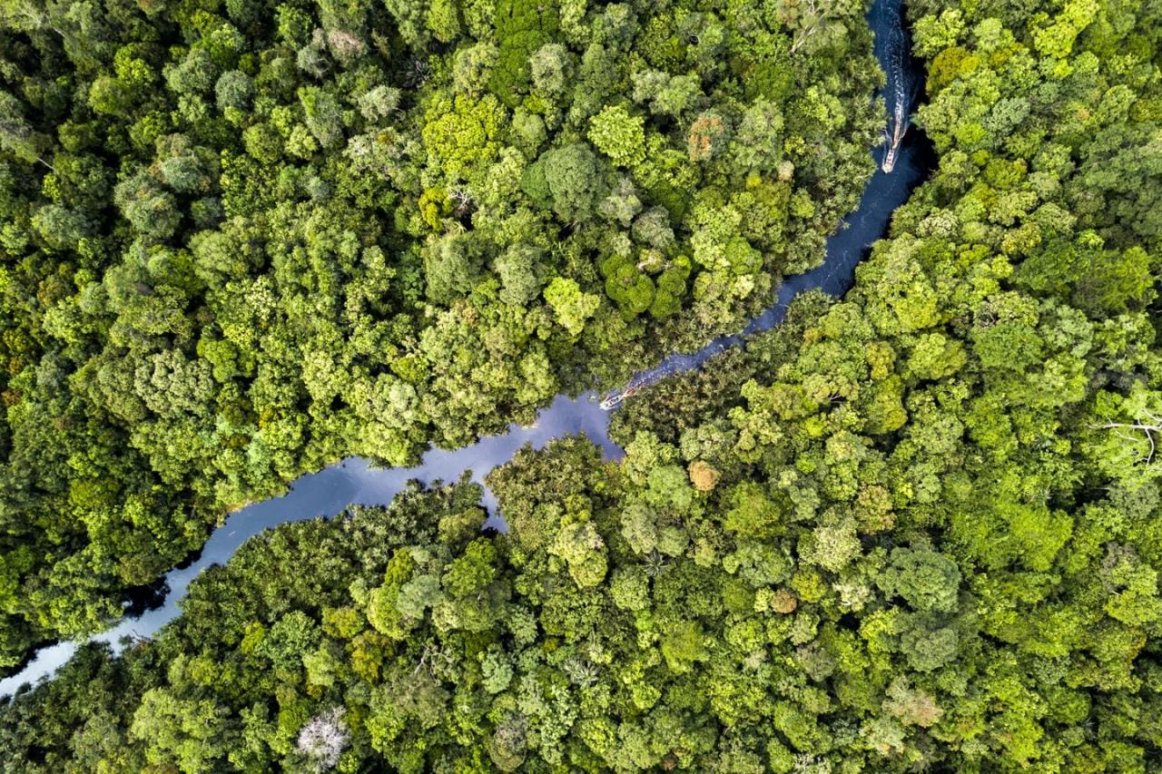 An aerial view of a river in Riau Province where APRIL is restoring 150,000 ha of degraded peat forest