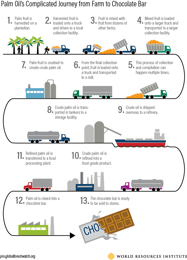 <p><em>The above graphic is representative of one potential path palm oil can take from farm to product</em>.</p> 