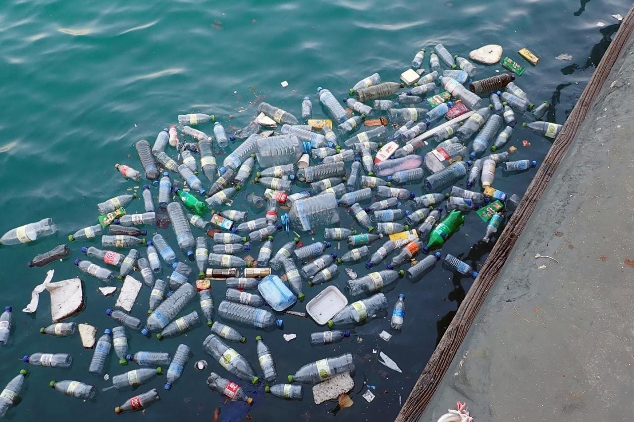 water pollution coast of bali